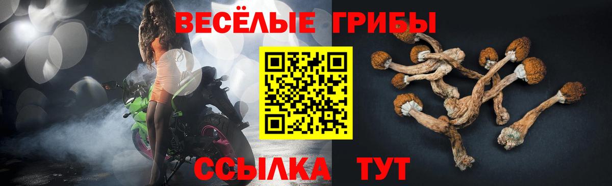 Псилоцибиновые грибы MAGIC MUSHROOMS Добрянка